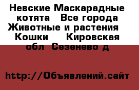 Невские Маскарадные котята - Все города Животные и растения » Кошки   . Кировская обл.,Сезенево д.